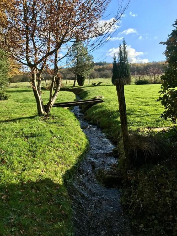 Lovely Meadow House In The Land Of Croix Scaille Gedinne Eksteriør billede