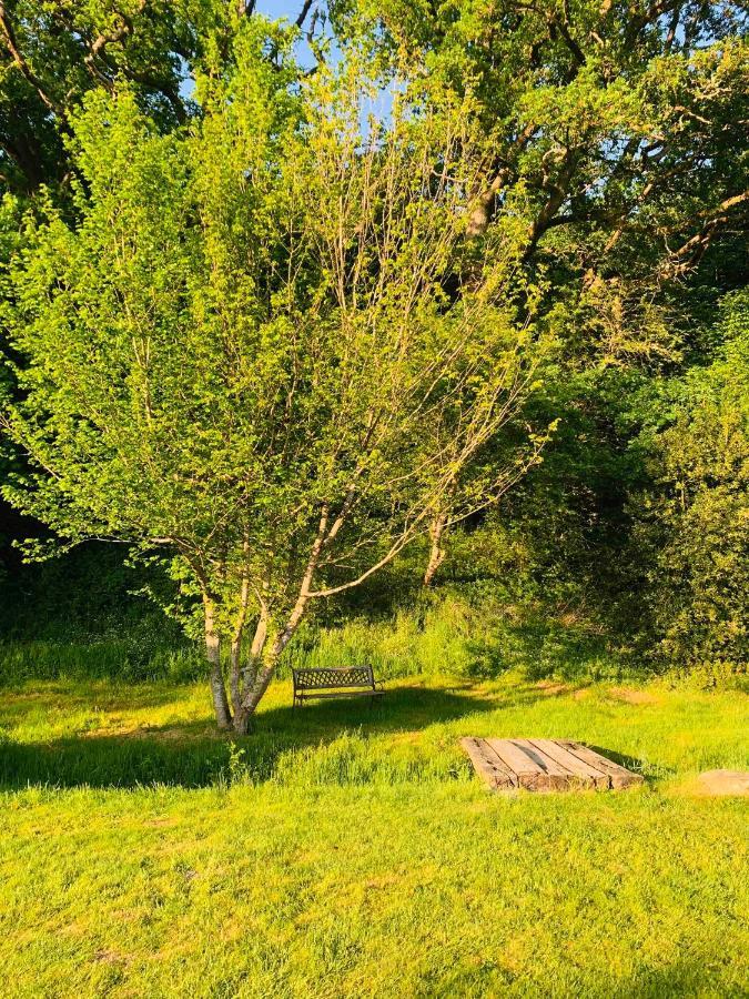 Lovely Meadow House In The Land Of Croix Scaille Gedinne Eksteriør billede