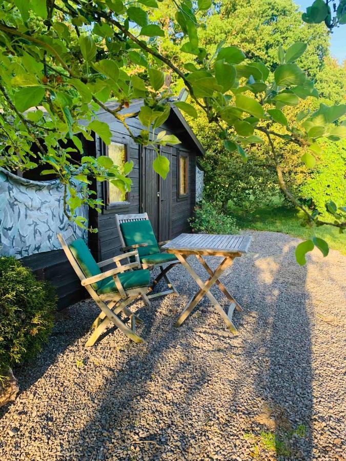 Lovely Meadow House In The Land Of Croix Scaille Gedinne Eksteriør billede